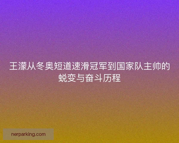 王濛从冬奥短道速滑冠军到国家队主帅的蜕变与奋斗历程